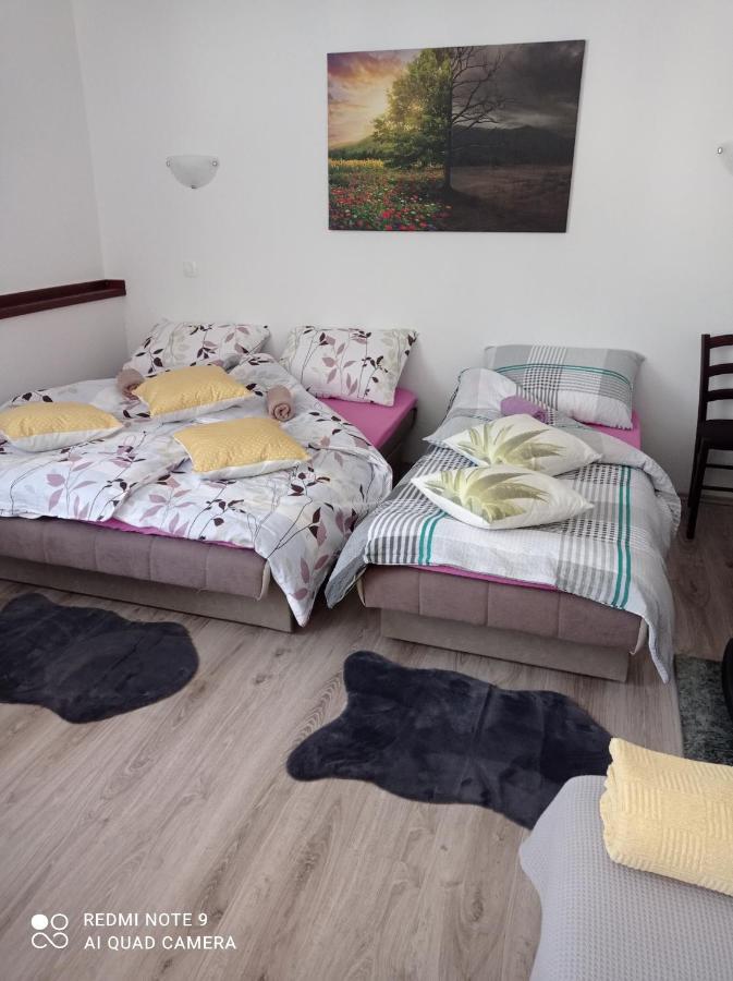 Studio Apartman Sonja Otočac Екстериор снимка